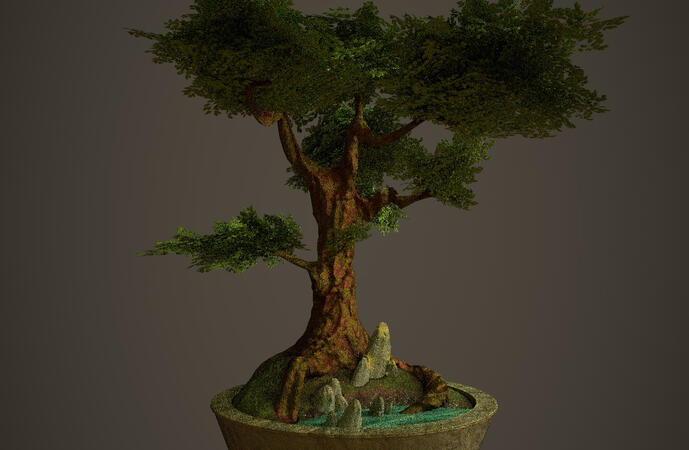 Bonsai Tree